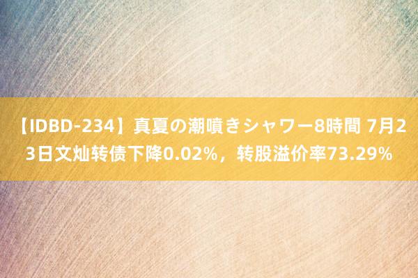 【IDBD-234】真夏の潮噴きシャワー8時間 7月23日文灿转债下降0.02%，转股溢价率73.29%