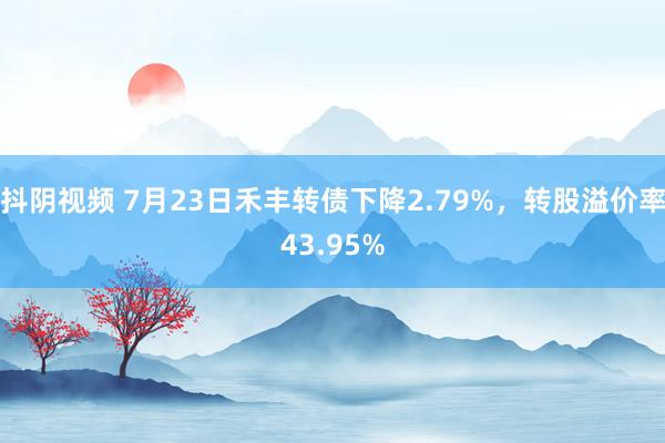 抖阴视频 7月23日禾丰转债下降2.79%，转股溢价率43.95%