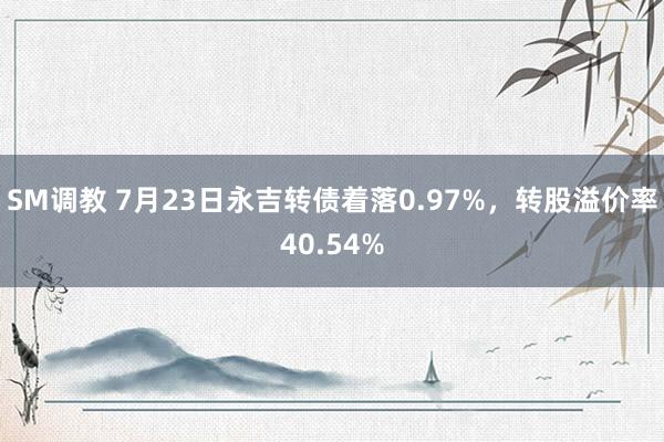 SM调教 7月23日永吉转债着落0.97%，转股溢价率40.54%