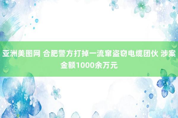 亚洲美图网 合肥警方打掉一流窜盗窃电缆团伙 涉案金额1000余万元