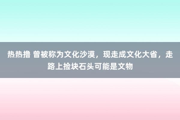 热热撸 曾被称为文化沙漠，现走成文化大省，走路上捡块石头可能是文物