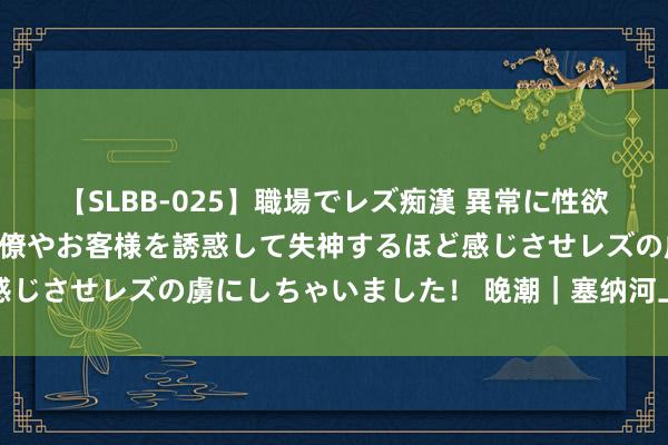 【SLBB-025】職場でレズ痴漢 異常に性欲の強い私（真性レズ）同僚やお客様を誘惑して失神するほど感じさせレズの虜にしちゃいました！ 晚潮｜塞纳河上空的精彩