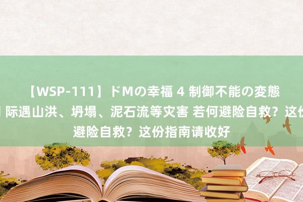 【WSP-111】ドMの幸福 4 制御不能の変態ボディ4時間 际遇山洪、坍塌、泥石流等灾害 若何避险自救？这份指南请收好