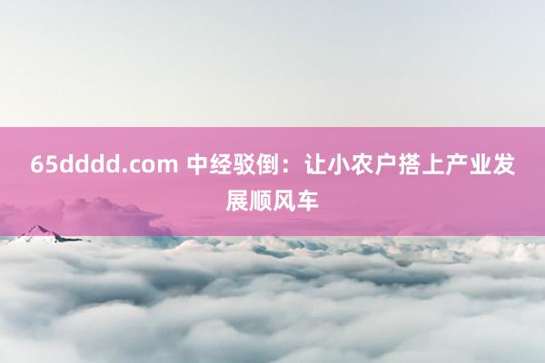 65dddd.com 中经驳倒：让小农户搭上产业发展顺风车