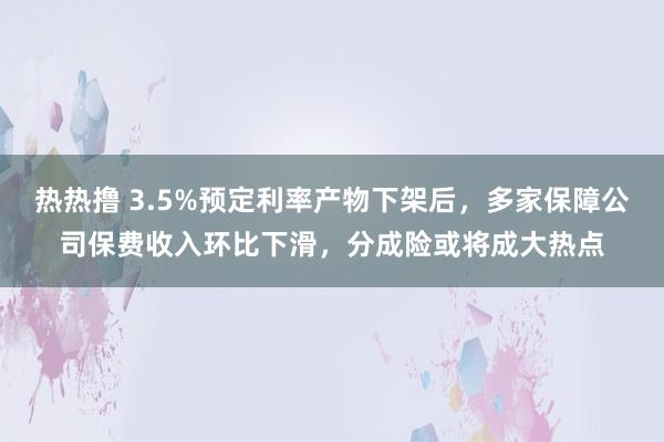 热热撸 3.5%预定利率产物下架后，多家保障公司保费收入环比下滑，分成险或将成大热点