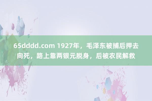 65dddd.com 1927年，毛泽东被捕后押去向死，路上靠两银元脱身，后被农民解救