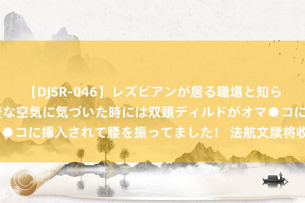 【DJSR-046】レズビアンが居る職場と知らずに来た私（ノンケ） 変な空気に気づいた時には双頭ディルドがオマ●コに挿入されて腰を振ってました！ 法航文牍将收复巴黎—贝鲁特航路