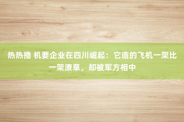 热热撸 机要企业在四川崛起：它造的飞机一架比一架潦草，却被军方相中