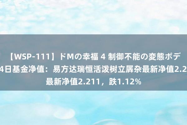 【WSP-111】ドMの幸福 4 制御不能の変態ボディ4時間 8月14日基金净值：易方达瑞恒活泼树立羼杂最新净值2.211，跌1.12%