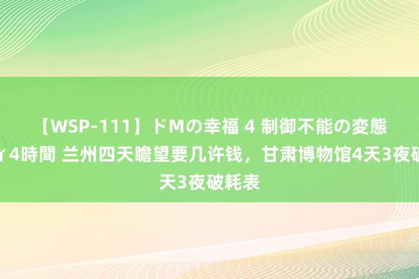 【WSP-111】ドMの幸福 4 制御不能の変態ボディ4時間 兰州四天瞻望要几许钱，甘肃博物馆4天3夜破耗表