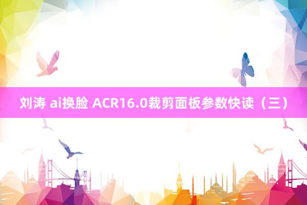 刘涛 ai换脸 ACR16.0裁剪面板参数快读（三）