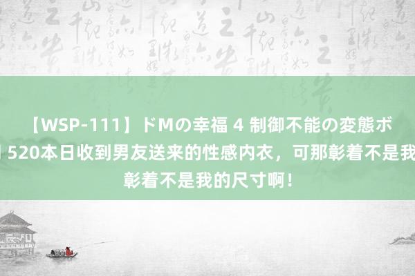 【WSP-111】ドMの幸福 4 制御不能の変態ボディ4時間 520本日收到男友送来的性感内衣，可那彰着不是我的尺寸啊！