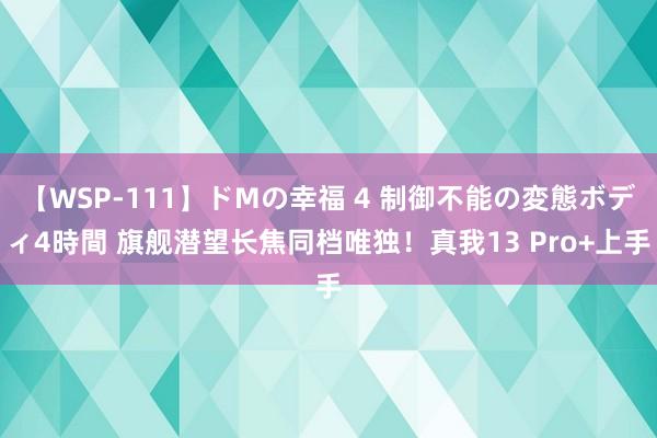 【WSP-111】ドMの幸福 4 制御不能の変態ボディ4時間 旗舰潜望长焦同档唯独！真我13 Pro+上手