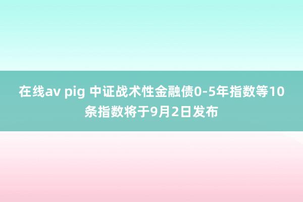 在线av pig 中证战术性金融债0-5年指数等10条指数将于9月2日发布