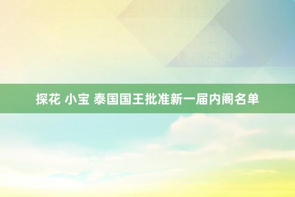 探花 小宝 泰国国王批准新一届内阁名单