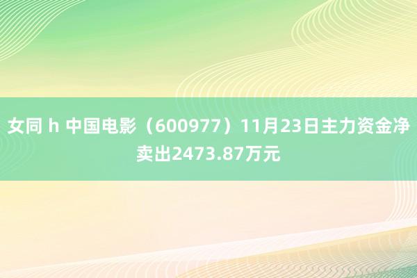 女同 h 中国电影（600977）11月23日主力资金净卖出2473.87万元