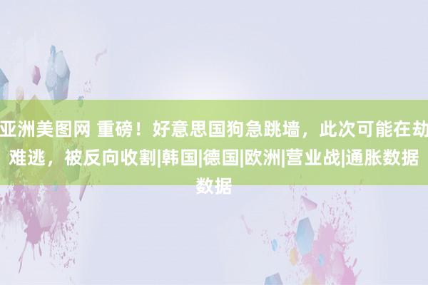 亚洲美图网 重磅！好意思国狗急跳墙，此次可能在劫难逃，被反向收割|韩国|德国|欧洲|营业战|通胀数据